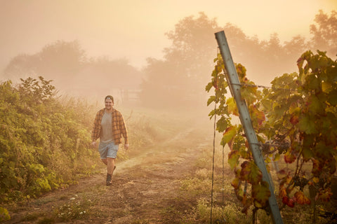 Jó évjáratra számítunk