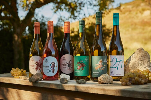 Számos elismeréssel tértünk haza a 2024-es országos és nemzetközi borversenyekről